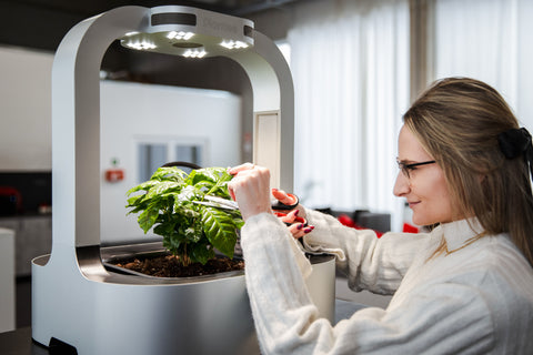 Plantee ONE - the Smart Indoor Greenhouse