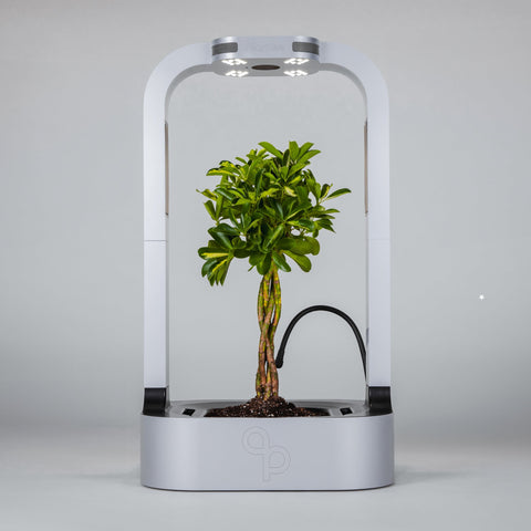 Plantee ONE - the Smart Indoor Greenhouse