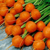Baby carrot seeds - package of 10